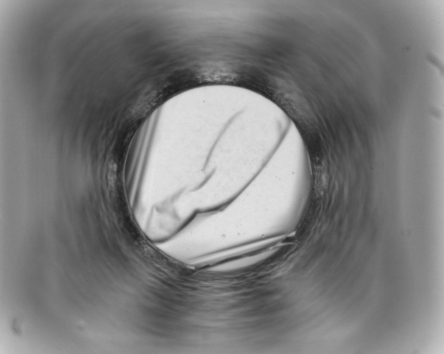 X0000097950263200804211044