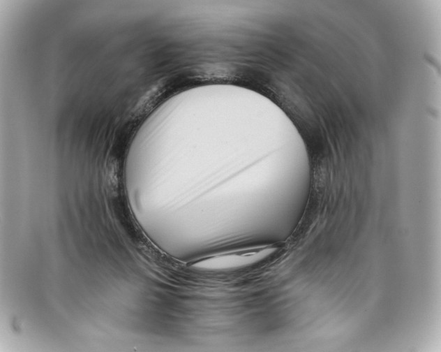 X0000097950264200804211044