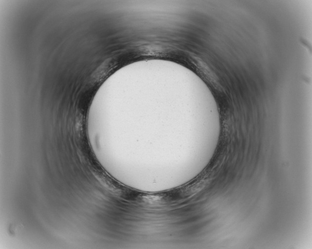 X0000097950265200804211044