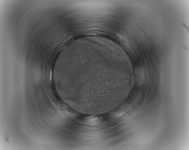 X0000097950267200804211044