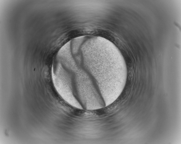 X0000097950270200804211044