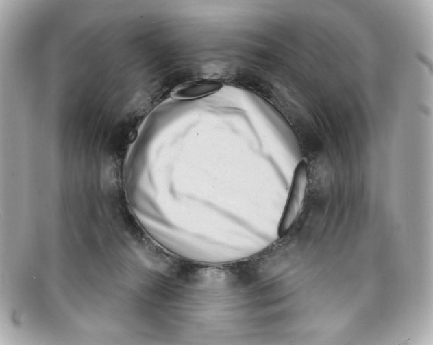 X0000097950272200804211044