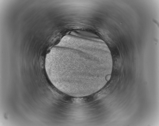 X0000097950273200804211044