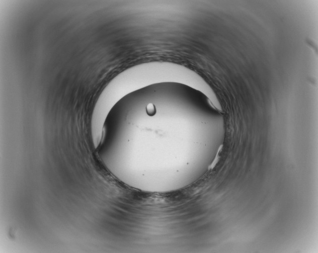 X0000097950276200804211044