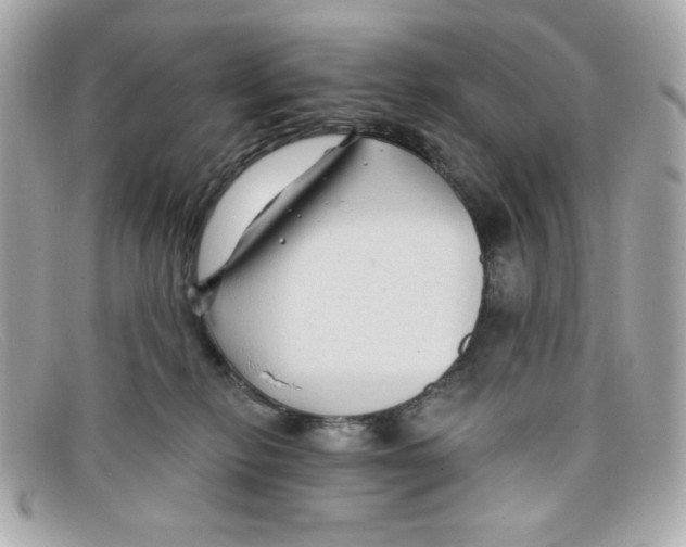 X0000097950278200804211044