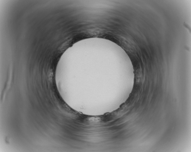 X0000097950279200804211044
