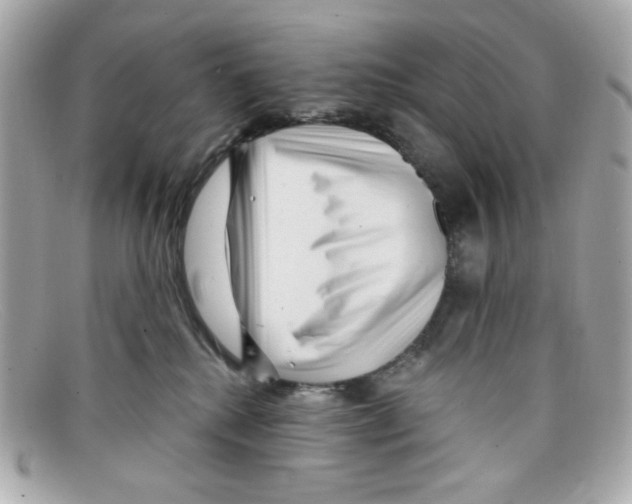 X0000097950280200804211044