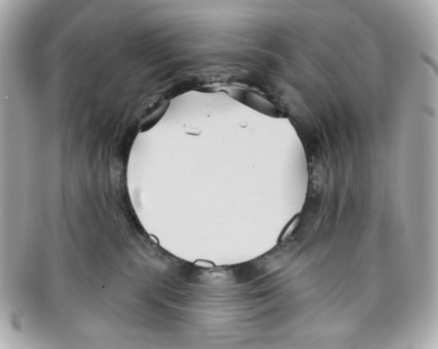 X0000097950283200804211044