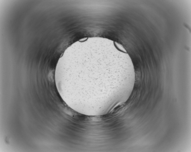 X0000097950286200804211044