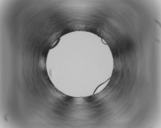 X0000097950287200804211044