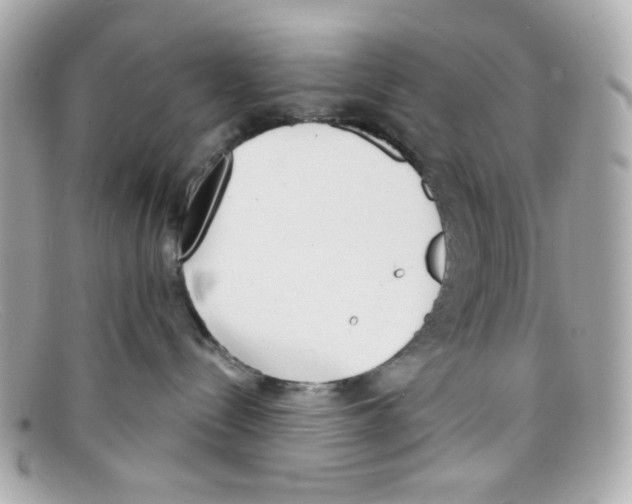 X0000097950288200804211044