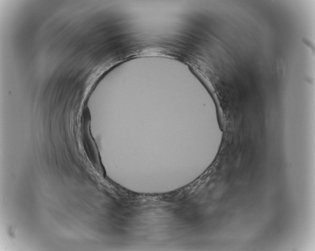 X0000097950289200804211043