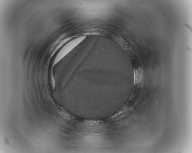 X0000097950291200804211043
