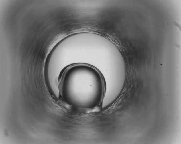 X0000097950292200804211043