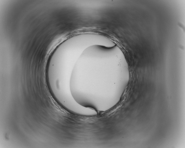 X0000097950293200804211043