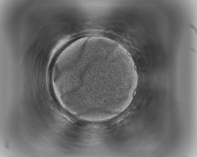 X0000097950294200804211043