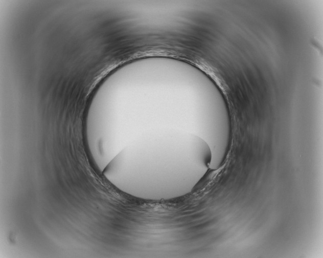 X0000097950297200804211043