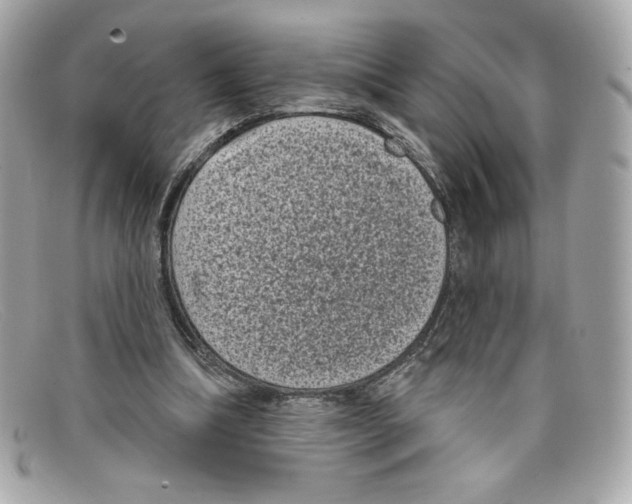 X0000097950298200804211043