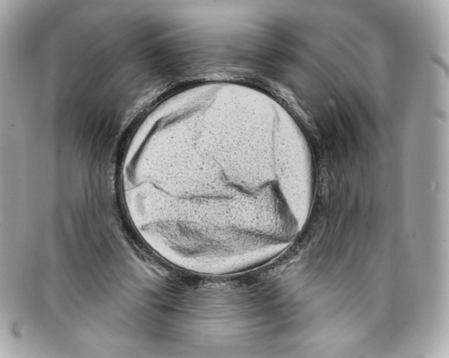 X0000097950299200804211043