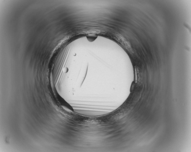 X0000097950300200804211043