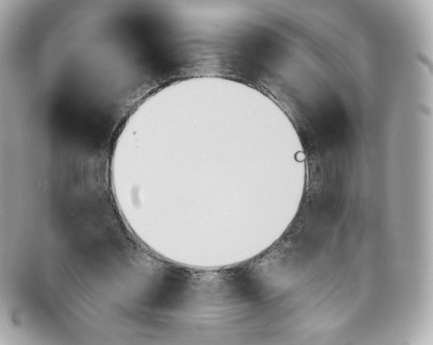 X0000097950301200804211043