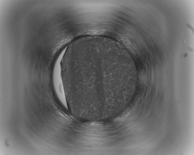 X0000097950303200804211043