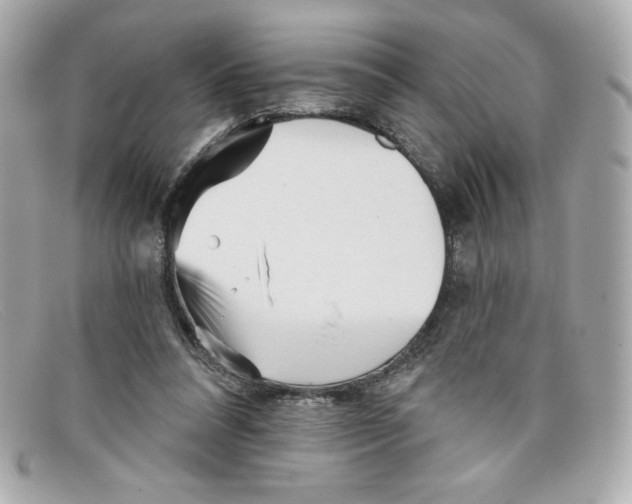 X0000097950304200804211043