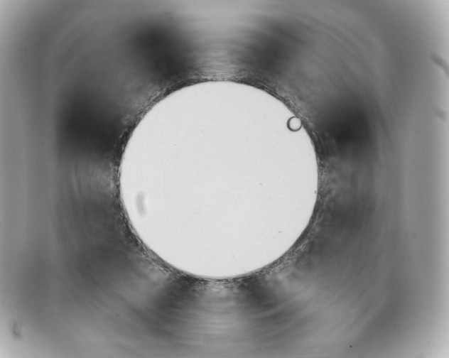 X0000097950305200804211043