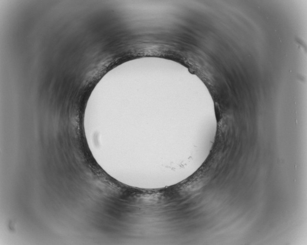 X0000097950306200804211043