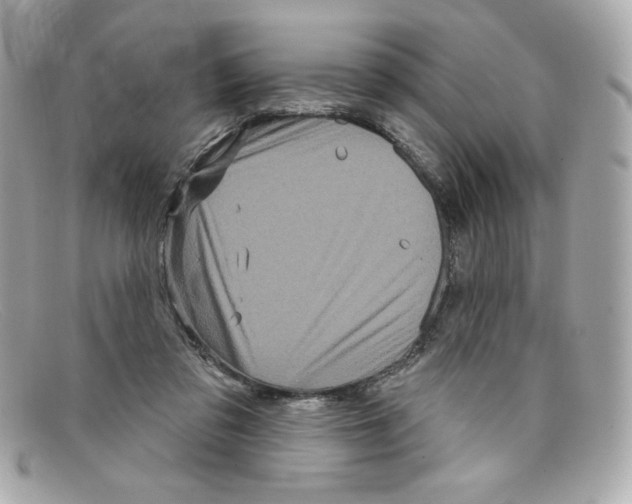 X0000097950309200804211043