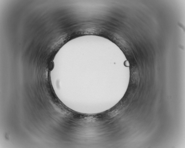 X0000097950310200804211043