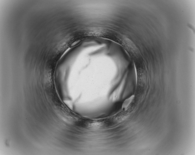 X0000097950312200804211043