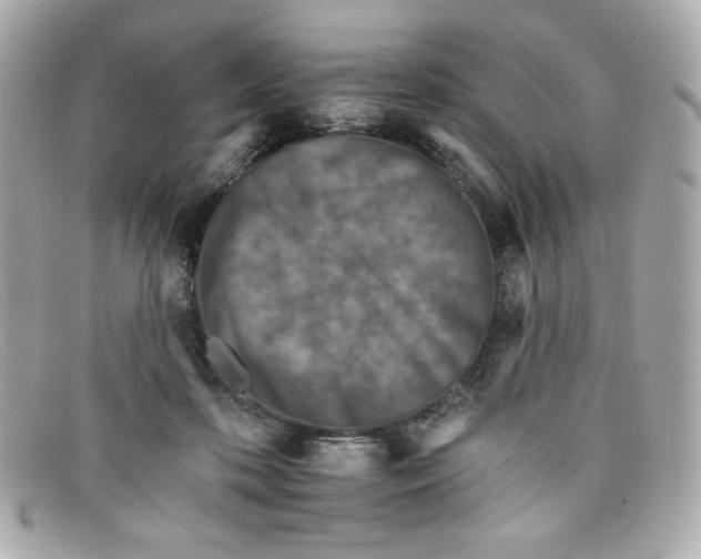 X0000097950316200804211043
