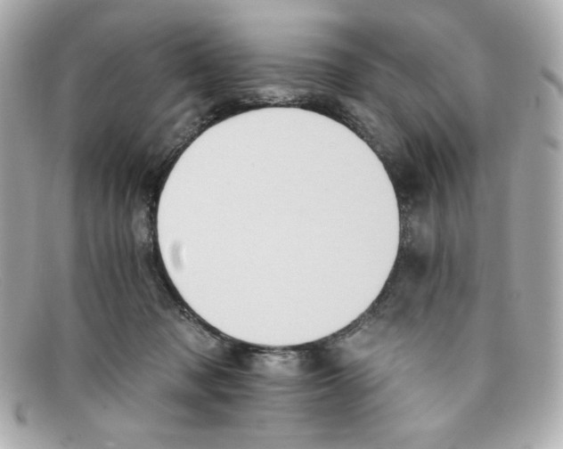 X0000097950317200804211043
