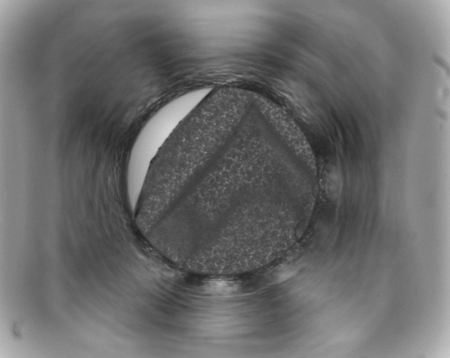 X0000097950319200804211043