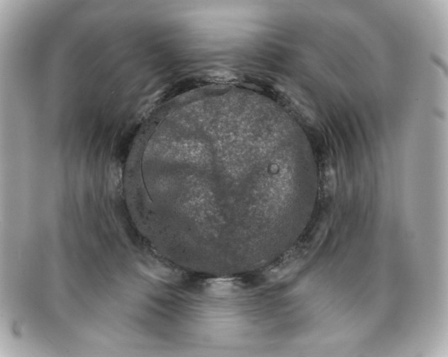 X0000097950320200804211043
