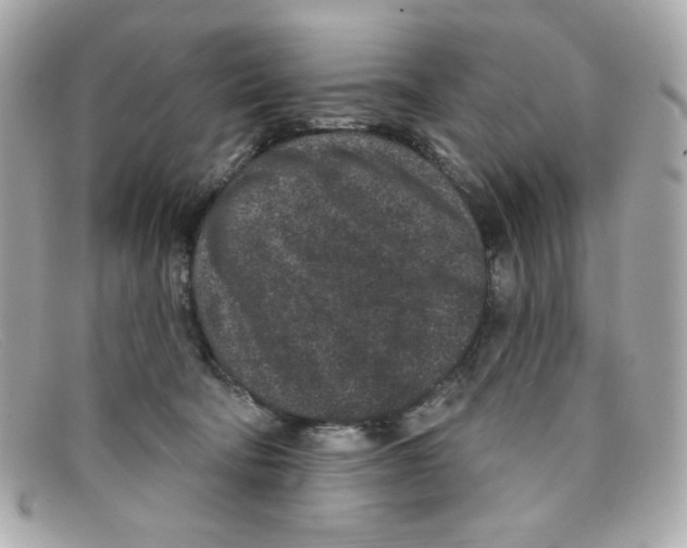 X0000097950322200804211043