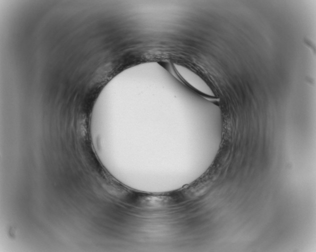 X0000097950323200804211043