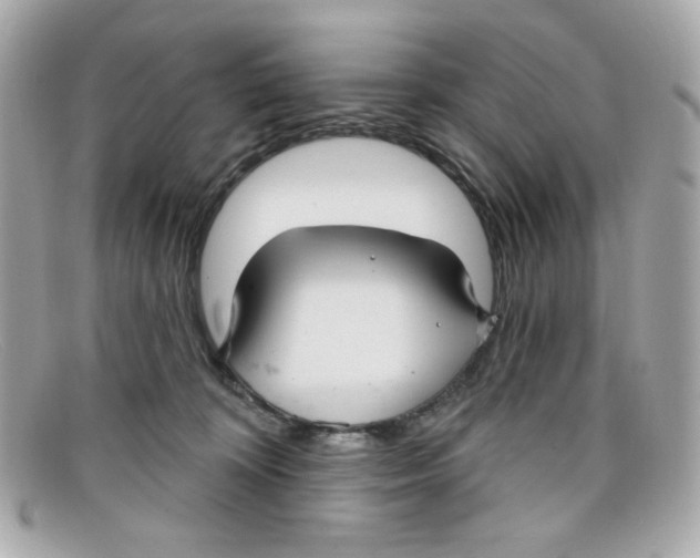 X0000097950324200804211043