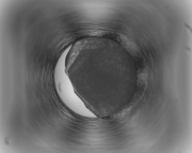X0000097950325200804211043