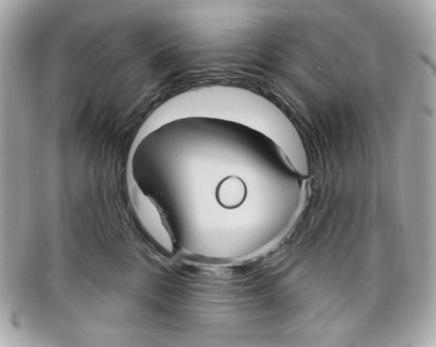 X0000097950328200804211043