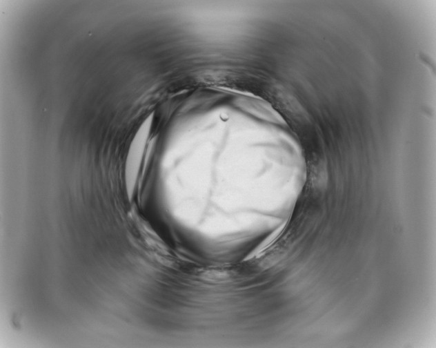 X0000097950332200804211043