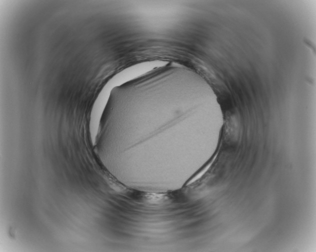 X0000097950333200804211043