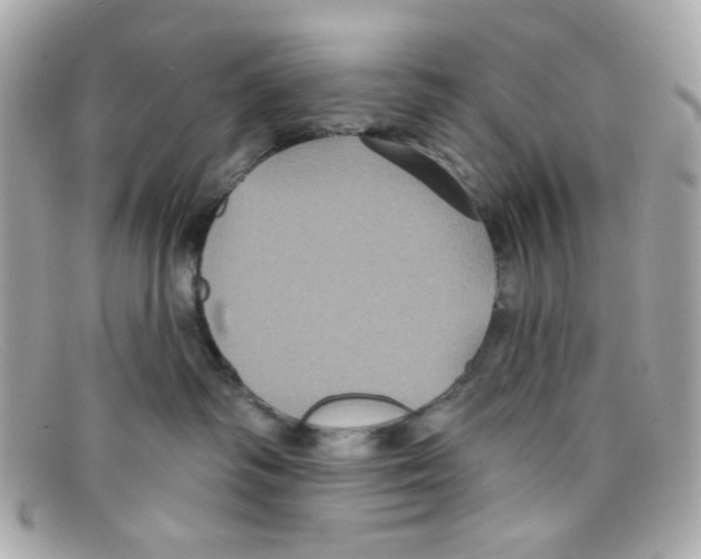 X0000097950334200804211043