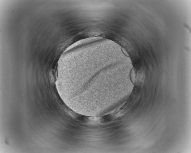 X0000097950335200804211043