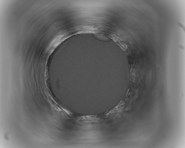 X0000097950338200804211042