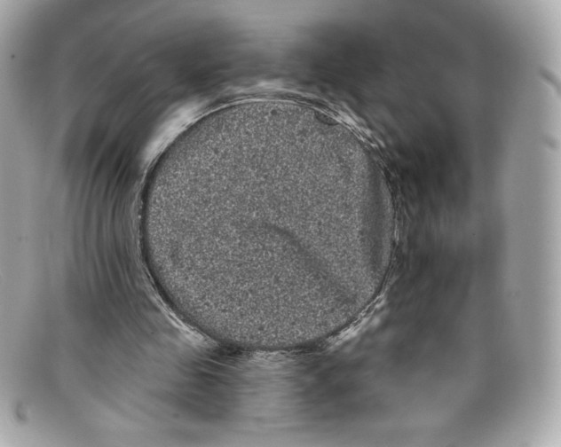 X0000097950341200804211042