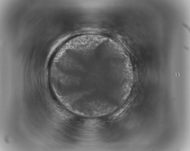 X0000097950342200804211042