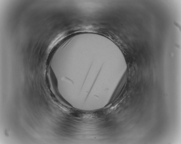 X0000097950344200804211042