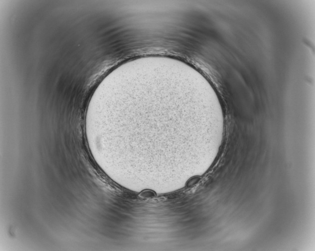 X0000097950345200804211042